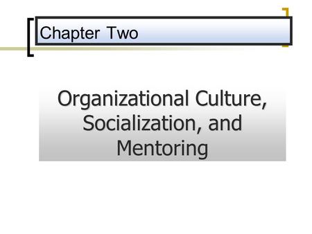 Organizational Culture, Socialization, and Mentoring