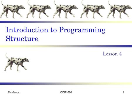 Introduction to Programming Structure Lesson 4 McManusCOP10001.