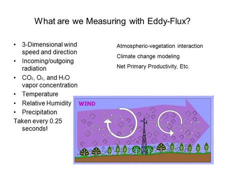 What are we Measuring with Eddy-Flux? 3-Dimensional wind speed and direction Incoming/outgoing radiation CO 2, O 2, and H 2 O vapor concentration Temperature.