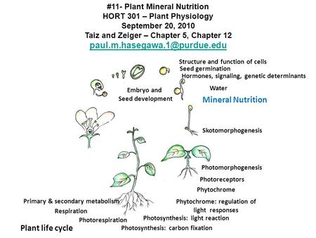 Mineral Nutrition Plant life cycle