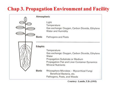 Courtesy: Landis, T.D. (1993) Chap 3. Propagation Environment and Facility.