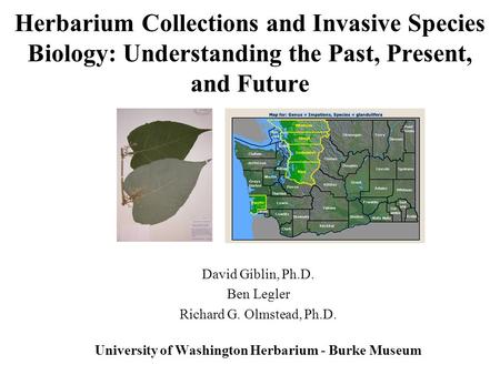 Herbarium Collections and Invasive Species Biology: Understanding the Past, Present, and Future David Giblin, Ph.D. Ben Legler Richard G. Olmstead, Ph.D.