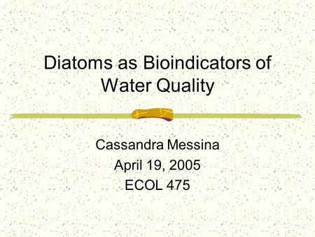 Diatoms as Bioindicators of Water Quality Cassandra Messina April 19, 2005 ECOL 475.