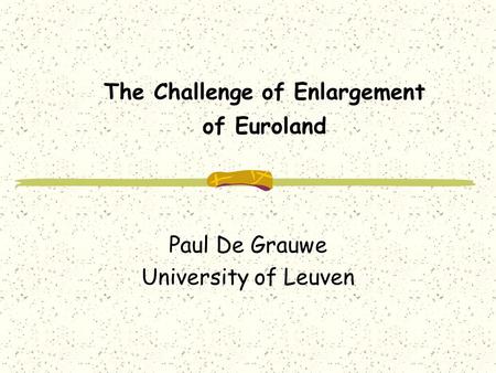 The Challenge of Enlargement of Euroland Paul De Grauwe University of Leuven.