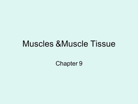 Muscles &Muscle Tissue