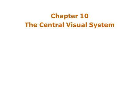 Chapter 10 The Central Visual System. Introduction Neurons in the visual system –Neural processing results in perception Parallel pathway serving conscious.