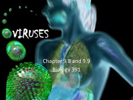 VIRUSES Chapter 9.8 and 9.9 Biology 391. What are they – Structure & Classification – Discovery Details & Examples Life Cycles – Lytic – Lysogenic – Evolution.