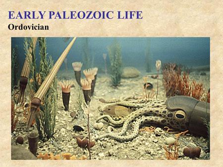 Ordovician EARLY PALEOZOIC LIFE. Silurian EARLY PALEOZOIC LIFE.