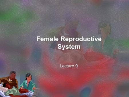 Female Reproductive System Lecture 9. Reproduction is accomplished when the egg cell (female gamete) is fertilized by the sperm cell (male gamete)