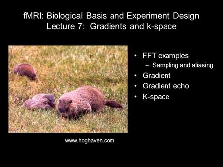 FMRI: Biological Basis and Experiment Design Lecture 7: Gradients and k-space FFT examples –Sampling and aliasing Gradient Gradient echo K-space www.hoghaven.com.