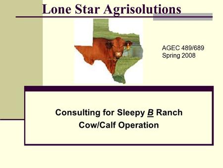Lone Star Agrisolutions Consulting for Sleepy B Ranch Cow/Calf Operation AGEC 489/689 Spring 2008.
