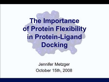 The Importance of Protein Flexibility in Protein-Ligand Docking Jennifer Metzger October 15th, 2008.