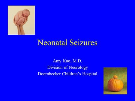 Neonatal Seizures Amy Kao, M.D. Division of Neurology Doernbecher Children’s Hospital.
