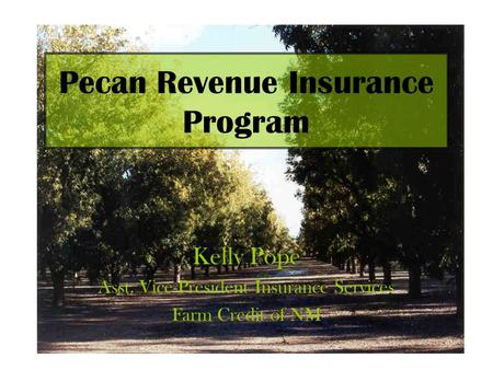 Pecan Revenue Insurance Program Kelly Pope Asst. Vice-President Insurance Services Farm Credit of NM.