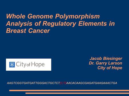 Whole Genome Polymorphism Analysis of Regulatory Elements in Breast Cancer AAGTCGGTGATGATTGGGACTGCTCT[C/T]AACACAAGCGAGATGAAGAAACTGA Jacob Biesinger Dr.