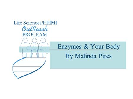Enzymes & Your Body By Malinda Pires. Enzymes are Catalyst Enzymes speed up chemical reactions. Animation Menu Enzymes are catalyst to over 4000 biochemical.