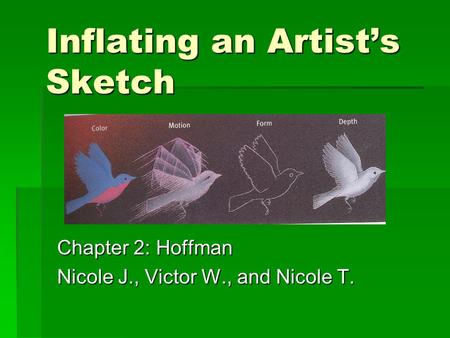 Inflating an Artist’s Sketch Chapter 2: Hoffman Nicole J., Victor W., and Nicole T.
