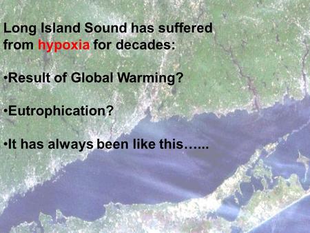 Long Island Sound has suffered from hypoxia for decades: Result of Global Warming? Eutrophication? It has always been like this…...