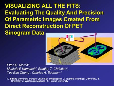 VISUALIZING ALL THE FITS: Evaluating The Quality And Precision Of Parametric Images Created From Direct Reconstruction Of PET Sinogram Data Evan D. Morris.