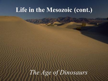 Life in the Mesozoic (cont.) The Age of Dinosaurs.