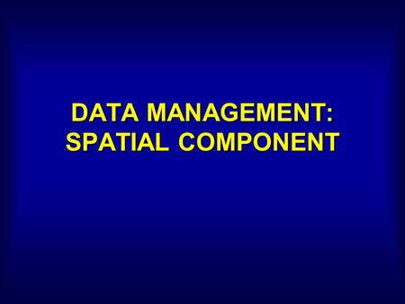 DATA MANAGEMENT: SPATIAL COMPONENT. RASTER AND VECTOR FORMATS RASTER : Grid-based, Simplify reality VECTOR : Analog map, Cartography.