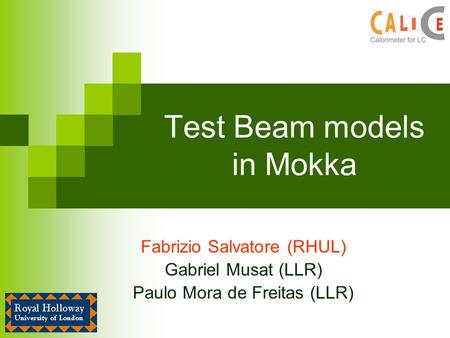 Test Beam models in Mokka Fabrizio Salvatore (RHUL) Gabriel Musat (LLR) Paulo Mora de Freitas (LLR)