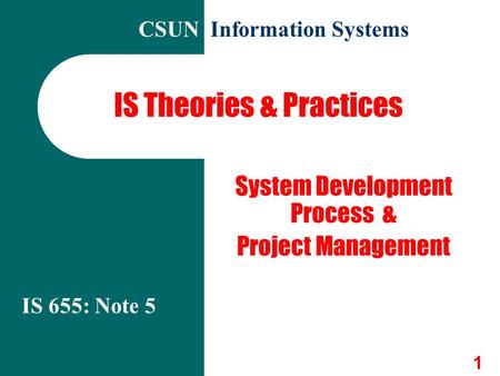 IS Theories & Practices