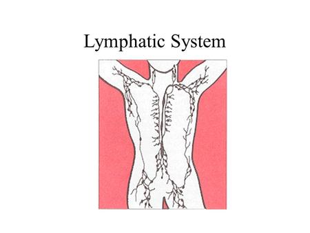 Lymphatic System. Functions of the Lymphatic System Fluid Balance - returns interstitial fluid to the blood Fat [and fat soluble vitamins] Absorption.