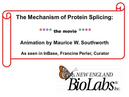 The Mechanism of Protein Splicing: **** the movie **** Animation by Maurice W. Southworth As seen in InBase, Francine Perler, Curator.