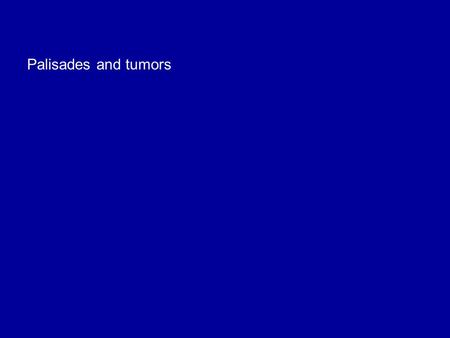Palisades and tumors. Lung metastatic tumor in brain.