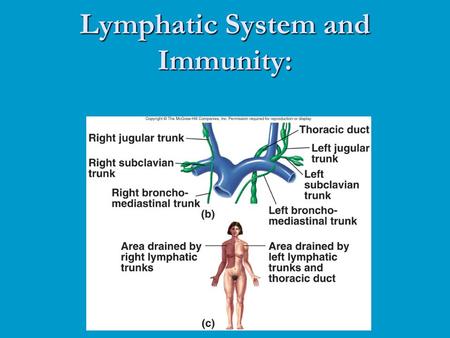 Lymphatic System and Immunity:. Lymphatic System Lymph Lymphatic vessels Lymphatic tissue Lymphatic nodules Lymph nodes Tonsils Spleen Thymus.