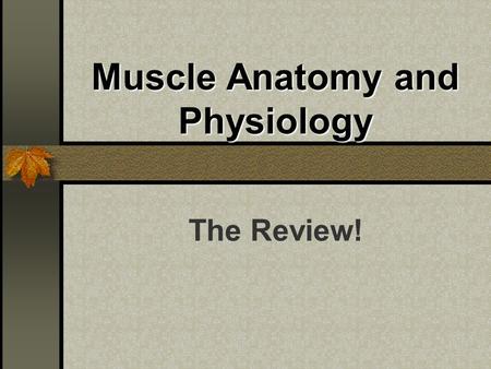 Muscle Anatomy and Physiology The Review!. Skeletal Muscle Functions Locomotion Movement Maintaining Posture Generating Heat!