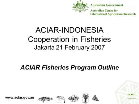 ACIAR-INDONESIA Cooperation in Fisheries Jakarta 21 February 2007 ACIAR Fisheries Program Outline www.aciar.gov.au.