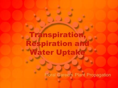 Transpiration, Respiration and Water Uptake Floral Careers Plant Propagation.