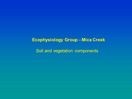 Soil and vegetation components Ecophysiology Group - Mica Creek.