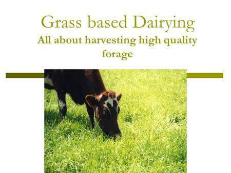 Grass based Dairying All about harvesting high quality forage.