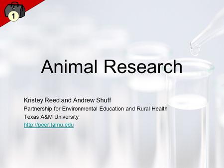 1 Animal Research Kristey Reed and Andrew Shuff Partnership for Environmental Education and Rural Health Texas A&M University