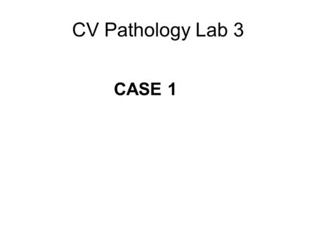 CV Pathology Lab 3 CASE 1. CV Lab 3, Image IA CV Lab 3, Image 1B.