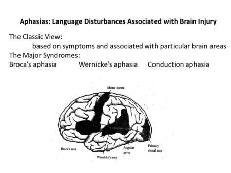 Aphasias: Language Disturbances Associated with Brain Injury The Classic View: based on symptoms and associated with particular brain areas The Major Syndromes:
