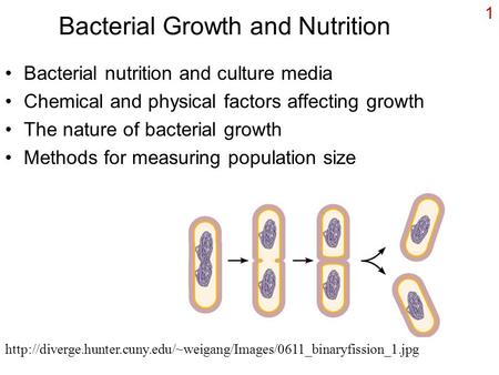 1 Bacterial Growth and Nutrition Bacterial nutrition and culture media Chemical and physical factors affecting growth The nature of bacterial growth Methods.