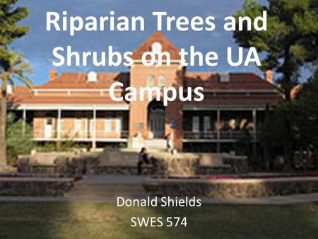 Riparian Trees and Shrubs on the UA Campus Donald Shields SWES 574.