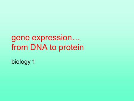 gene expression… from DNA to protein