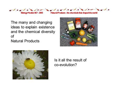 The many and changing ideas to explain existence and the chemical diversity of Natural Products Is it all the result of co-evolution?