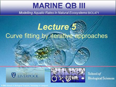 Lecture 5 Curve fitting by iterative approaches MARINE QB III MARINE QB III Modelling Aquatic Rates In Natural Ecosystems BIOL471 © 2001 School of Biological.