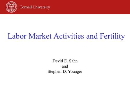 Labor Market Activities and Fertility David E. Sahn and Stephen D. Younger.