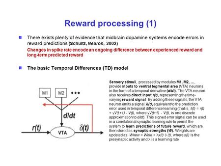 Reward processing (1) There exists plenty of evidence that midbrain dopamine systems encode errors in reward predictions (Schultz, Neuron, 2002) Changes.