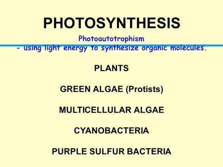 PHOTOSYNTHESIS Photoautotrophism - using light energy to synthesize organic molecules. PLANTS GREEN ALGAE (Protists) MULTICELLULAR ALGAE CYANOBACTERIA.