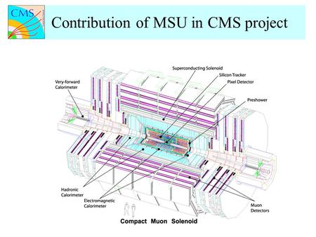 Contribution of MSU in CMS project. Preparations for CMS Heavy Ion Physics Program Development of software and reconstruction algorithms for pp and heavy.