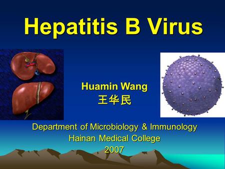 Hepatitis B Virus Huamin Wang 王华民 Department of Microbiology & Immunology Hainan Medical College 2007.