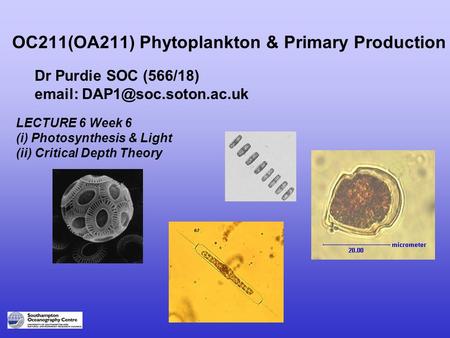 OC211(OA211) Phytoplankton & Primary Production Dr Purdie SOC (566/18)   LECTURE 6 Week 6 (i) Photosynthesis & Light (ii) Critical.